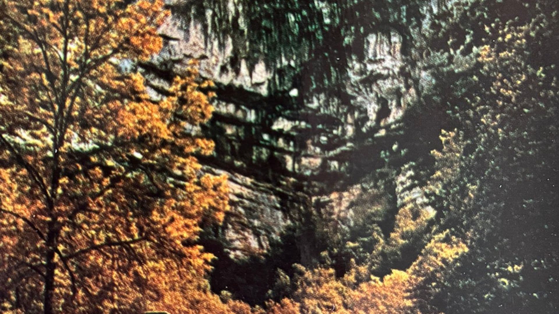 La Terrasse des Grottes